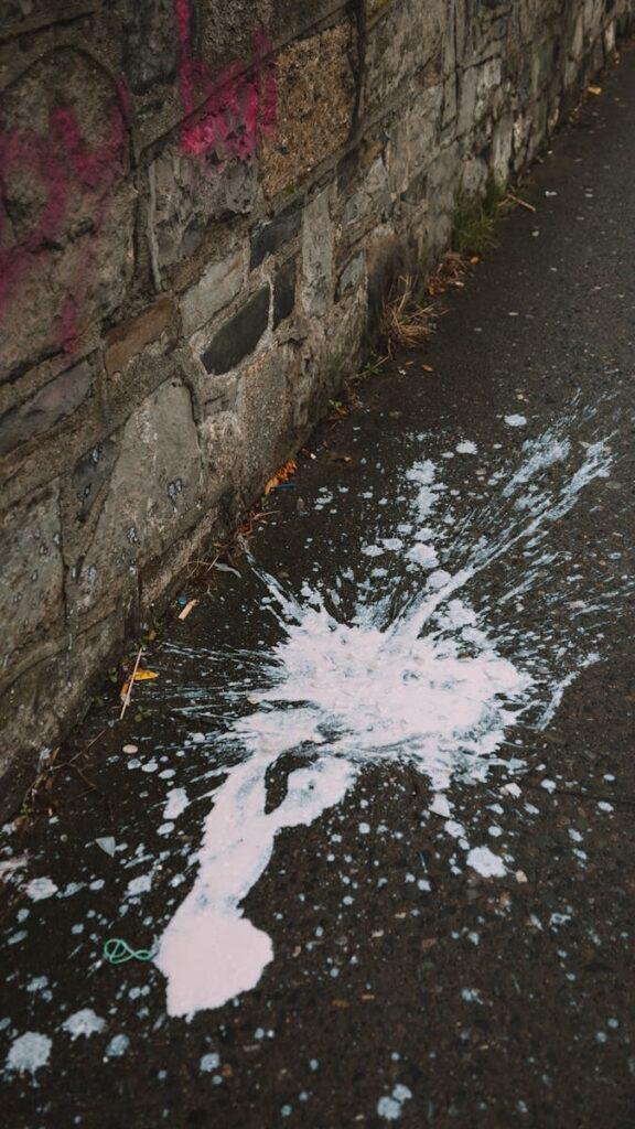 water damage repairs New Orleans