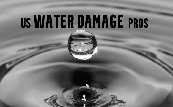 US Water Damage Pros in New Orleans