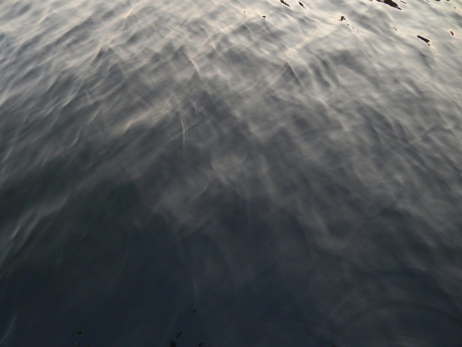 is gray water dangerous