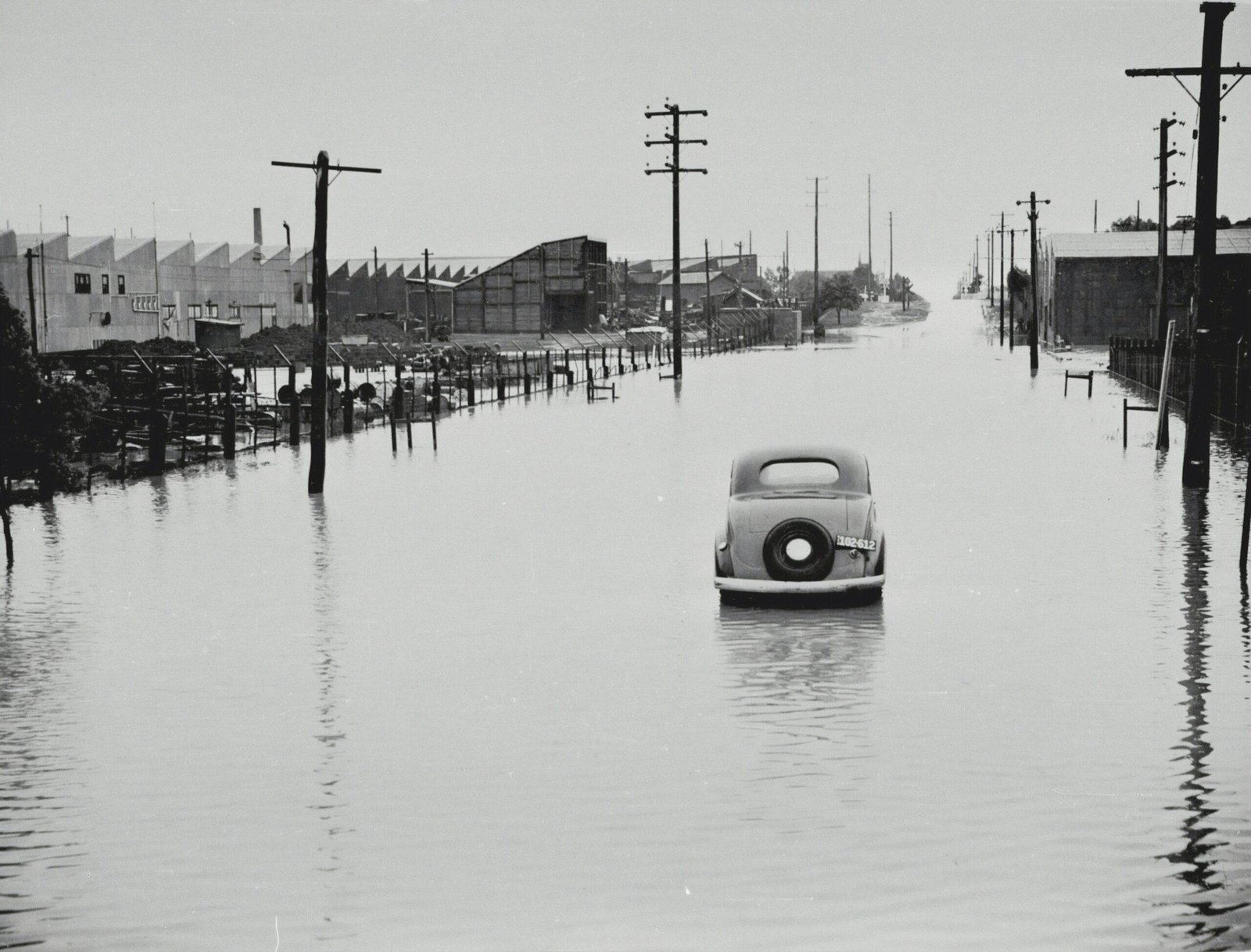 white volkswagen beetle on flooded street after rain